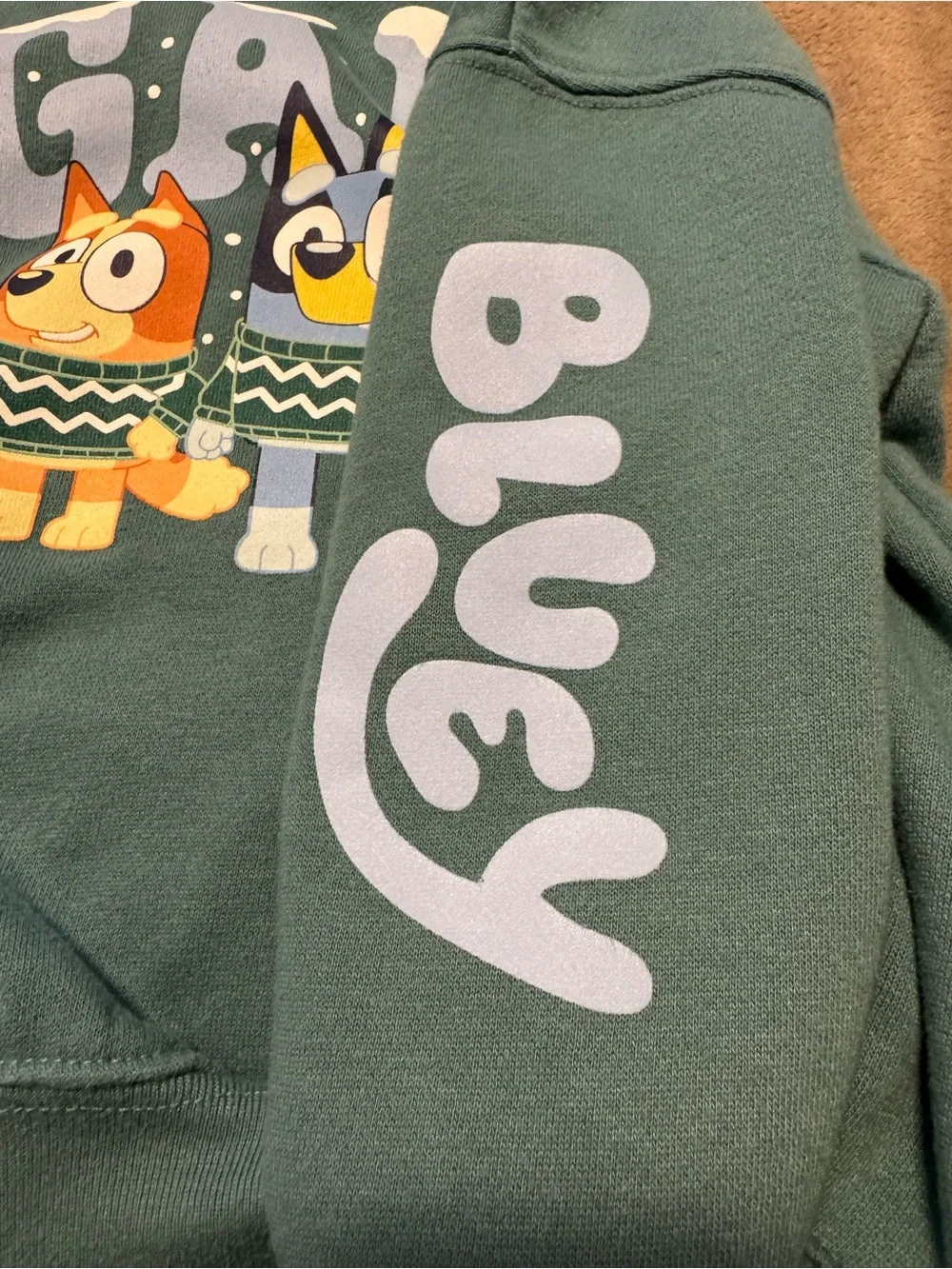 GAP Bluey winter sweatshirt, 3T